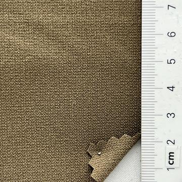 14 Camel