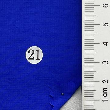 21 Blue