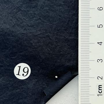19 Navy