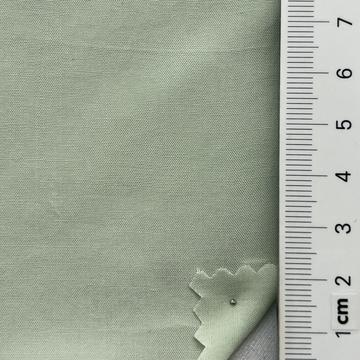 4 Pale Green