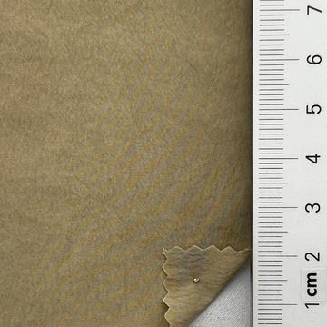 6 Camel