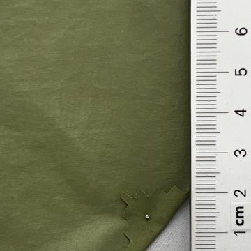 27 Pale Green