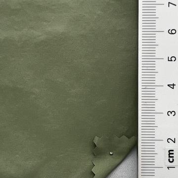 19 Pale Green