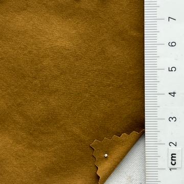 24 Camel