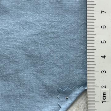21 Pale Blue