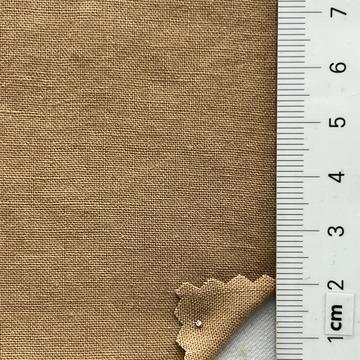 8 Camel