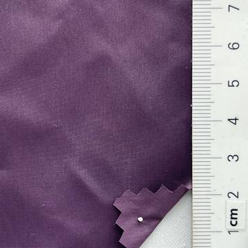 17 Purple