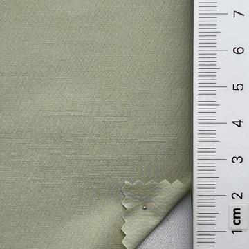 10 Pale Green
