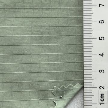 8 Pale Green