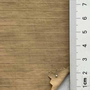 13 Camel