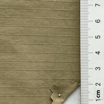 19 Camel