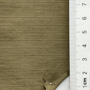 24 Camel
