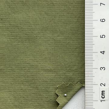 99999 Pale Green