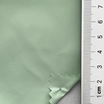 19 Pale Green