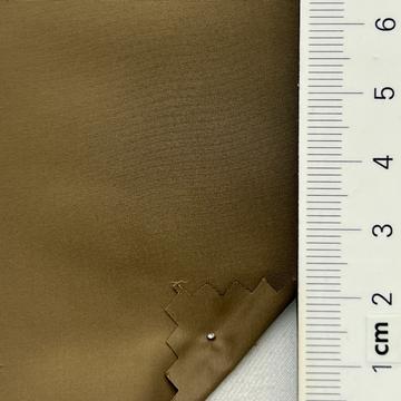 31 Camel