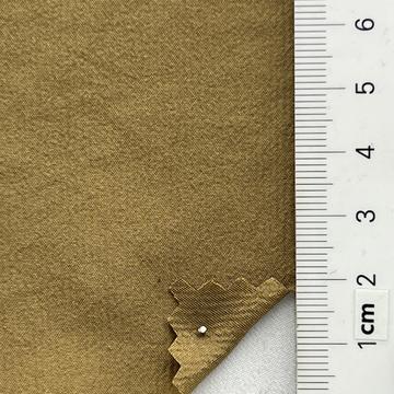 20 Camel