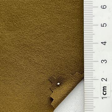21 Camel