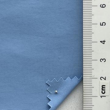 21 Pale Blue