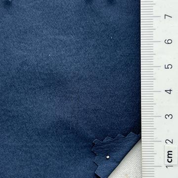41 Blue