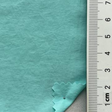 19 Pale Blue