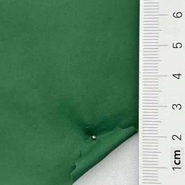 21 Green