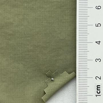 12 Pale Green