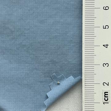 15 Pale Blue