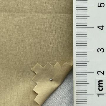 99999 Beige