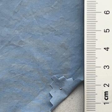 21 Pale Blue