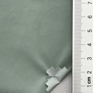 11 Pale Green