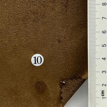 10 Camel