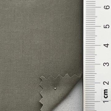 19 Gray
