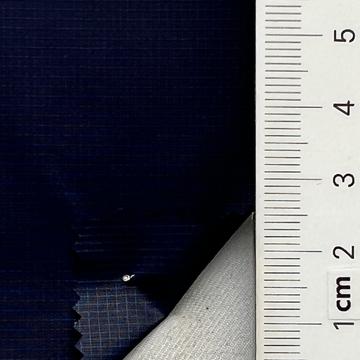 21 Navy