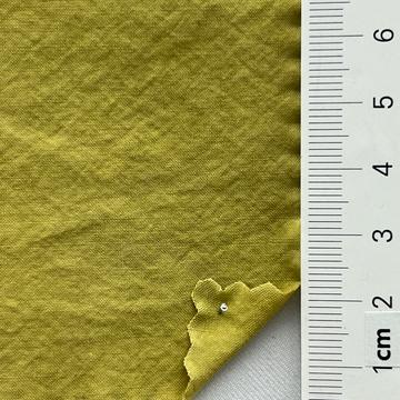 10 Pale Green