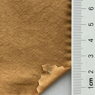 18 Pale Orange