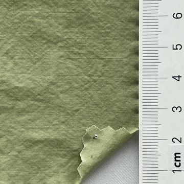 43 Pale Green