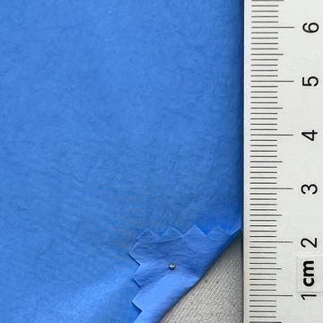 39 Pale Blue