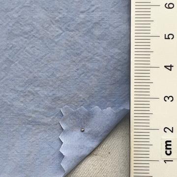 27 Pale Blue