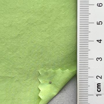31 Pale Green