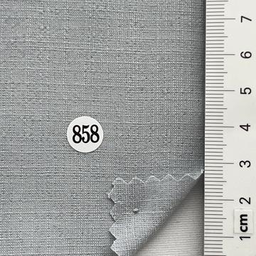 858 Pale Blue