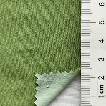 23 Green