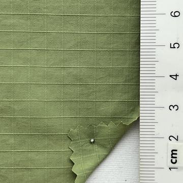 19 Pale Green