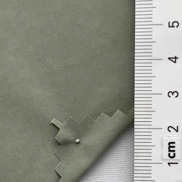 17 Pale Green