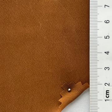 22 Camel