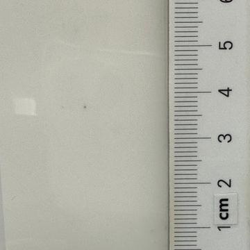 18 Transparent