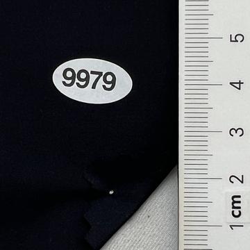 9979 Navy