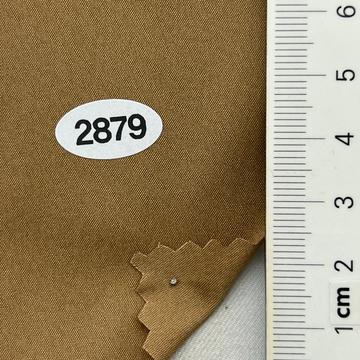2879 Camel