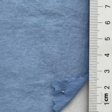 19 Pale Blue