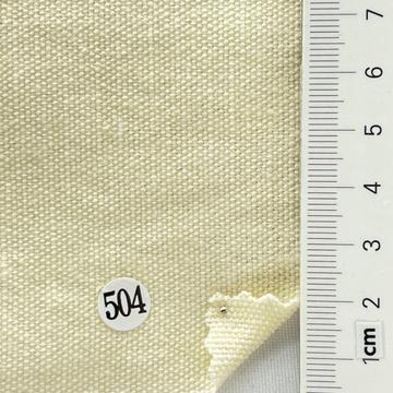 504 Ivory