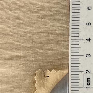 64 Beige